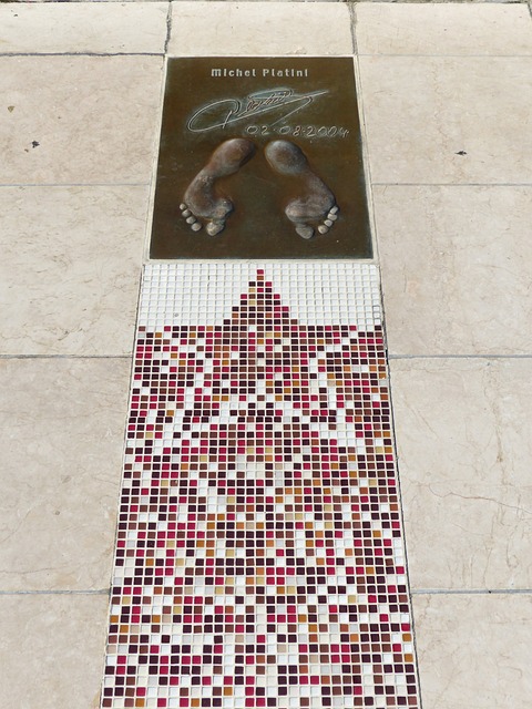 是泳坛名将