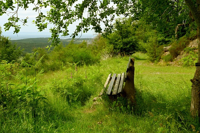 国青队主教 国青队主教