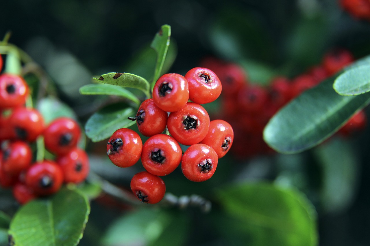 探索新的收 探索新的收