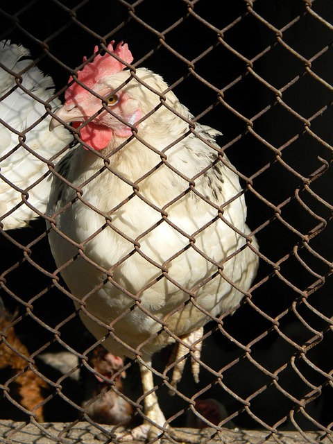 关乎联赛排 关乎联赛排