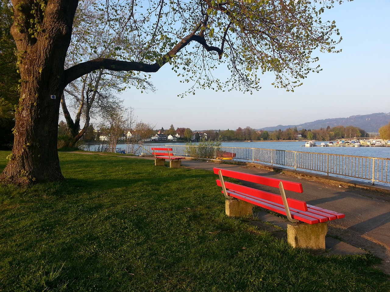 北京国安的 北京国安的